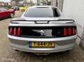Ford Mustang USA 3.7 V6 Grau - thumbnail 5