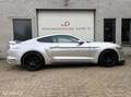 Ford Mustang USA 3.7 V6 Grau - thumbnail 7