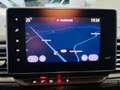 Nissan Primastar Primastar MINIBUS 9-ZIT/AUTOMAAT/NETTO/€28.091 Grau - thumbnail 18
