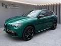 Alfa Romeo Stelvio TRIBUTO ITALIANO 2.0 Q4 AT8 Vert - thumbnail 14