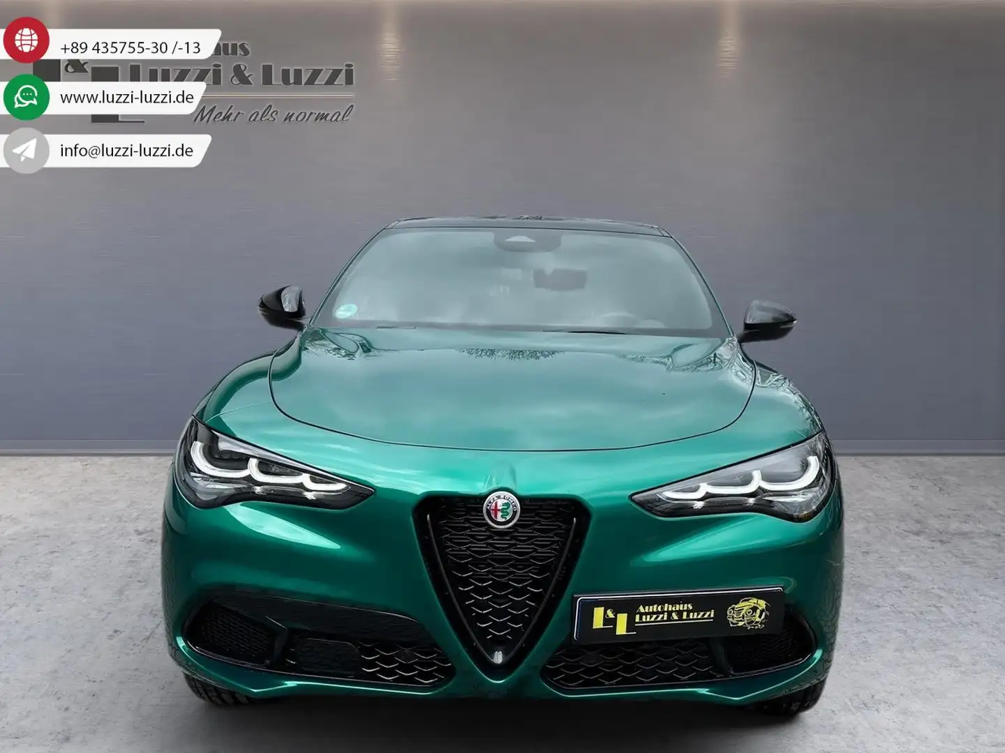 Alfa Romeo Stelvio TRIBUTO ITALIANO 2.0 Q4 AT8 Vert - 1