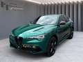 Alfa Romeo Stelvio TRIBUTO ITALIANO 2.0 Q4 AT8 Vert - thumbnail 13