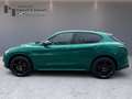 Alfa Romeo Stelvio TRIBUTO ITALIANO 2.0 Q4 AT8 Vert - thumbnail 12