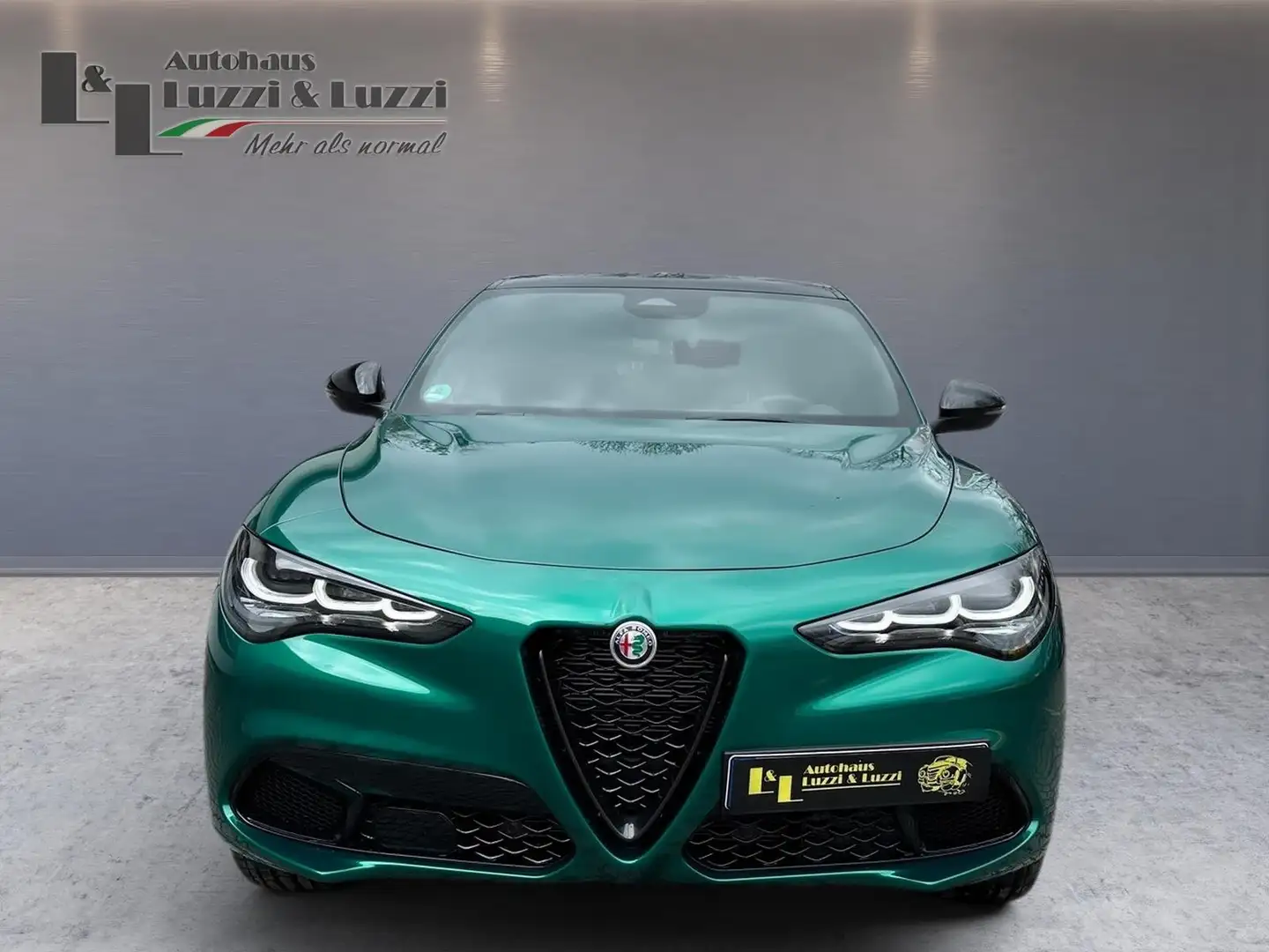 Alfa Romeo Stelvio TRIBUTO ITALIANO 2.0 Q4 AT8 Vert - 2