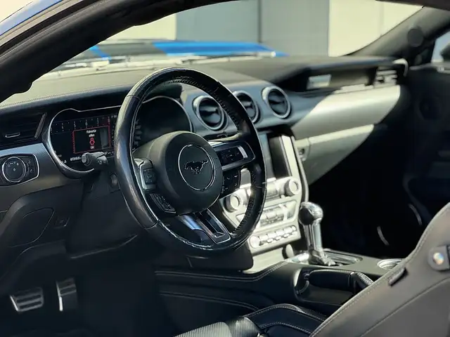 Ford Mustang 5,0 Ti-VCT V8 GT|SHELBY GT LOOK Ansicht 10