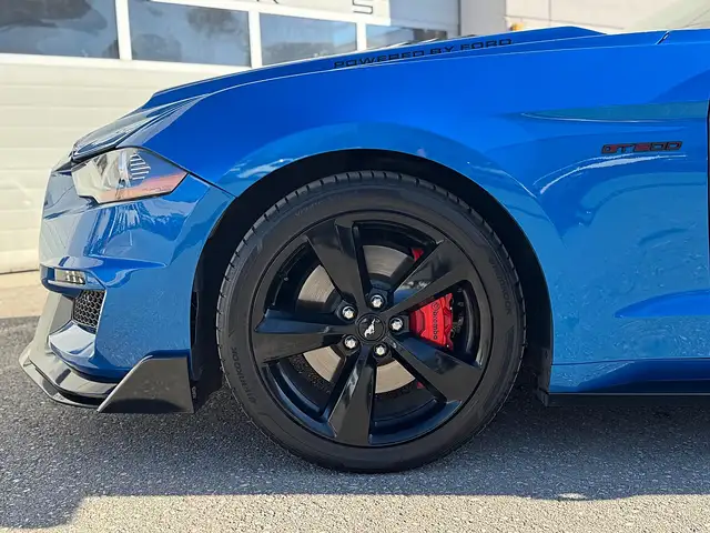 Ford Mustang 5,0 Ti-VCT V8 GT|SHELBY GT LOOK Ansicht 8