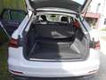 Audi A6 A6 Avant 40 TDI quattro S tronic Weiß - thumbnail 19