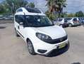 Fiat Doblo 1.6 MJT 16V 120CV  TRASPORTO DISABILI - thumbnail 2