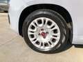 Fiat Panda Panda III 2021 1.0 firefly hybrid s&s 70cv * PROMO Grigio - thumbnail 15