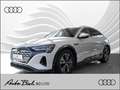 Audi Q8 e-tron advanced 50 e-tron Navi LED White - thumbnail 1