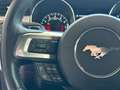 Ford Mustang Fastback 2.3 EcoBoost Aut. Červená - thumbnail 37