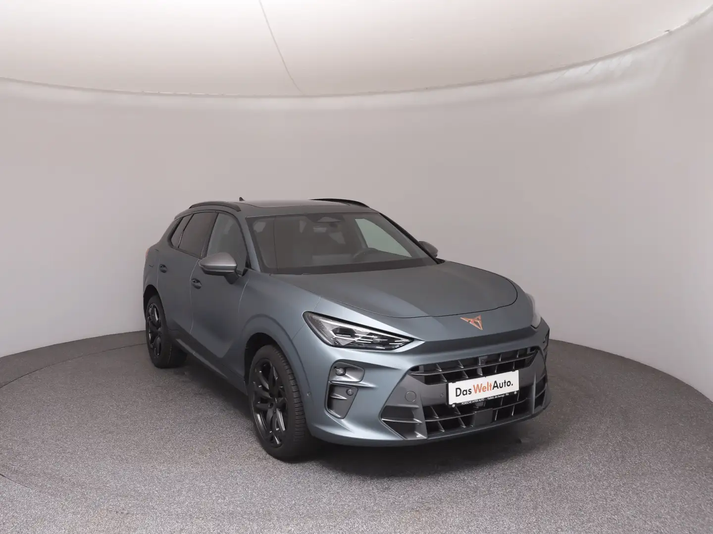 CUPRA Terramar 2.0 TSI DSG 4Drive AC Edition Grau - 2