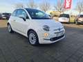 Fiat 500 1.2 8V Lounge Weiß - thumbnail 3
