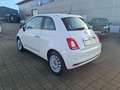 Fiat 500 1.2 8V Lounge Weiß - thumbnail 5