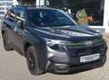 Subaru Forester Forester 2,0i e-Boxer Adventure AWD Grau - thumbnail 4