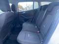 Ford Focus SW 1.5 Ecoblue 115Cv Autom. ACTIVE Design Blanc - thumbnail 16