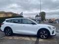 Ford Focus SW 1.5 Ecoblue 115Cv Autom. ACTIVE Design Blanc - thumbnail 6