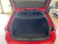 Skoda Octavia Ambition DSG AHK DAB GRA LED Kam Sthz VC Rouge - thumbnail 14