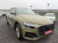 Audi Q8 50 TDI quattro--1.HAND Grün - thumbnail 1