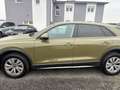 Audi Q8 50 TDI quattro--1.HAND Grün - thumbnail 4