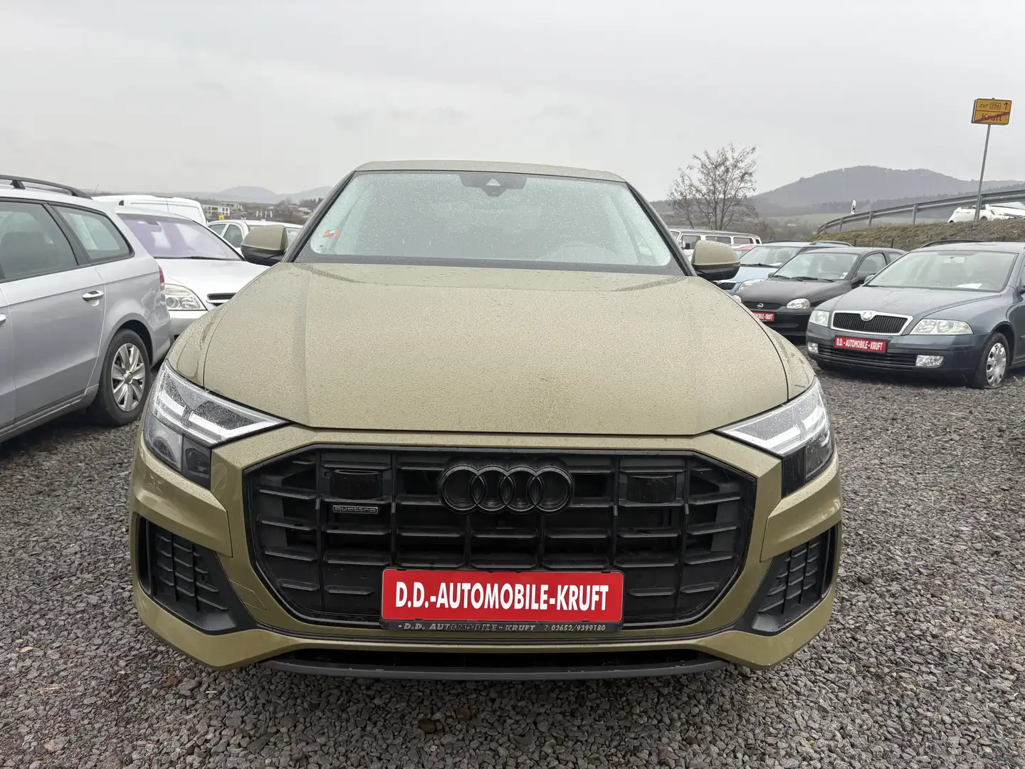 Audi Q8 50 TDI quattro--1.HAND Grün - 2