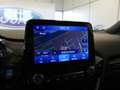 Ford Puma 1.0 EcoBoost MHEV ST-Line 125 Plateado - thumbnail 10
