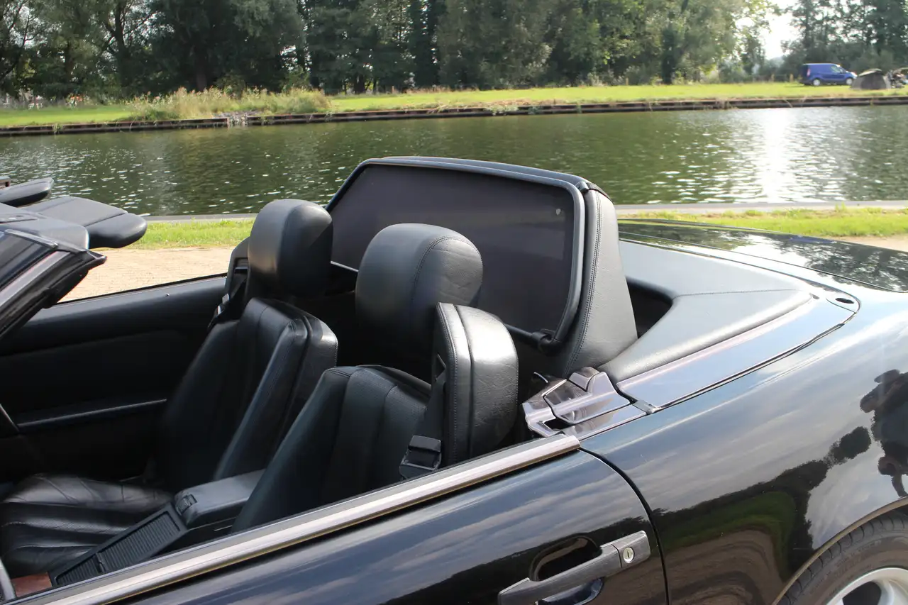 Mercedes-Benz SL 300 SL-24 1992, foto 6