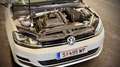 Volkswagen Golf Variant Golf Variant Highline 1,4 TSI Highline Weiß - thumbnail 6