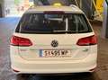 Volkswagen Golf Variant Golf Variant Highline 1,4 TSI Highline Weiß - thumbnail 9