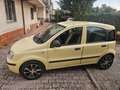 Fiat Panda Panda 1.2 Dynamic 69cv Giallo - thumbnail 4
