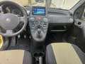 Fiat Panda Panda 1.2 Dynamic 69cv Giallo - thumbnail 13