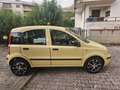 Fiat Panda Panda 1.2 Dynamic 69cv Giallo - thumbnail 2
