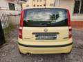 Fiat Panda Panda 1.2 Dynamic 69cv Giallo - thumbnail 3
