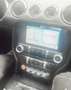 Ford Mustang Mustang 2.3 Eco Boost Aut. Grau - thumbnail 4