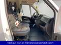 Citroen Jumper Kombi 30 L1H1 Live Blue-HDi 120 Weiß - thumbnail 13