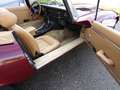 Jaguar E-Type Jaguar E-Type V12 Serie III seit 1990 in Famili... Rot - thumbnail 14