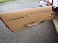 Jaguar E-Type Jaguar E-Type V12 Serie III seit 1990 in Famili... Rot - thumbnail 10