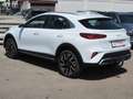 Kia XCeed Spirit Weiß - thumbnail 16