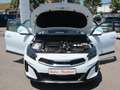 Kia XCeed Spirit Weiß - thumbnail 7