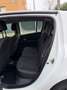 Renault Clio 1.5 dci - NEOPATENTATI - 12 MESI DI GARANZIA - Bianco - thumbnail 9