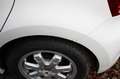 Volkswagen Polo 1.2TDI # Klimaautomatik # Alu # Sitzheizung Weiß - thumbnail 16