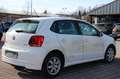 Volkswagen Polo 1.2TDI # Klimaautomatik # Alu # Sitzheizung Weiß - thumbnail 4
