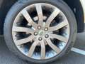 Land Rover Range Rover Sport TDV8 HSE Weiß - thumbnail 11