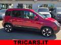 Fiat Panda Pandina 1.0 firefly hybrid s PERMUTE 5p OK NEOPAT. Rouge - thumbnail 1