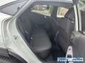 Ford Puma Titanium 1.0 EcoBoost Mild Hybrid EU6e Navi digita Grau - thumbnail 10