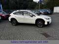 Subaru XV Comfort Weiß - thumbnail 2