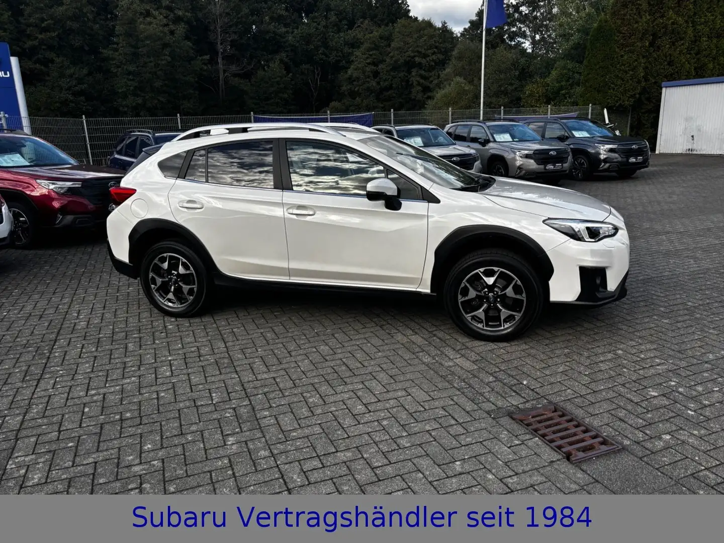 Subaru XV Comfort Weiß - 2