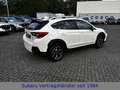 Subaru XV Comfort Weiß - thumbnail 3