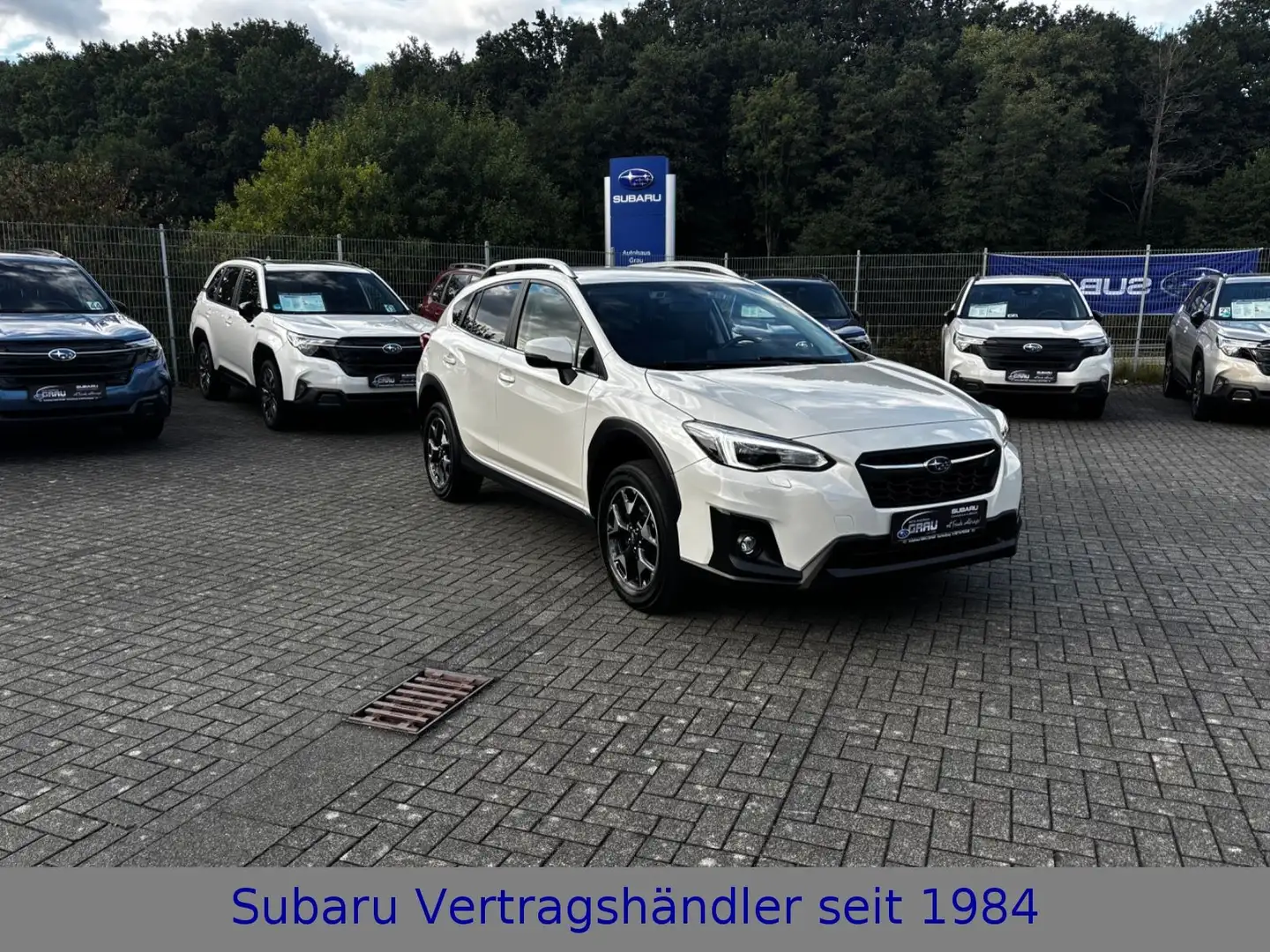 Subaru XV Comfort Weiß - 1