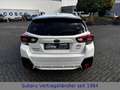 Subaru XV Comfort Weiß - thumbnail 4